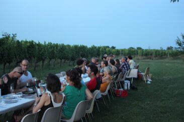 Pique nique vignes été