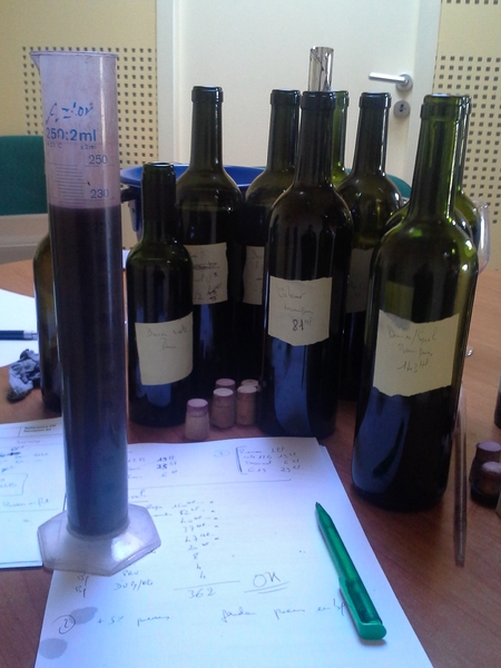 Atelier assemblage des vins 1