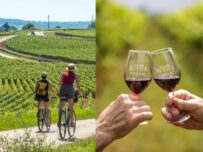 Vél'Apéro déambulatoire